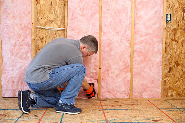 Best Commercial Insulation Services  in Loudon, TN